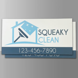 Squeaky Clean Magnet Set of 2
